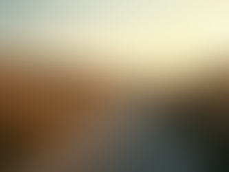 Kariyer Koçluğu: Başarıya Giden Yol