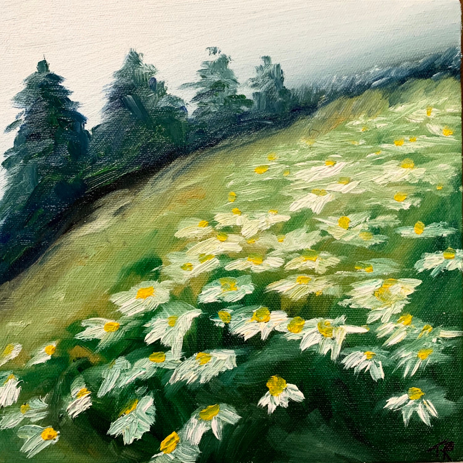 Mountain landscape with flowers 