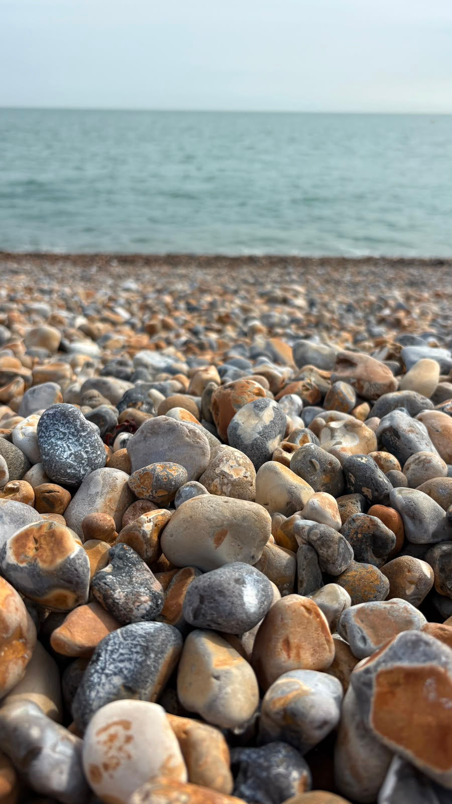 Sasha Pyatt Counselling & Therapy Online and in person in Lewes