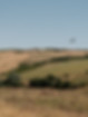DSCF5727-min_edited.jpg