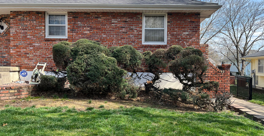 Landscape transformation South Kansas City, Missouri 