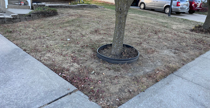 Lawn Renovation Kansas City Missouri