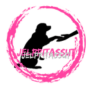 Jelppitassut logo.png
