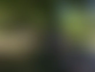 Cardboard Boat Building