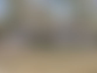 For Sale! 111 Shenadoah Rd N Brandon, MS 39047