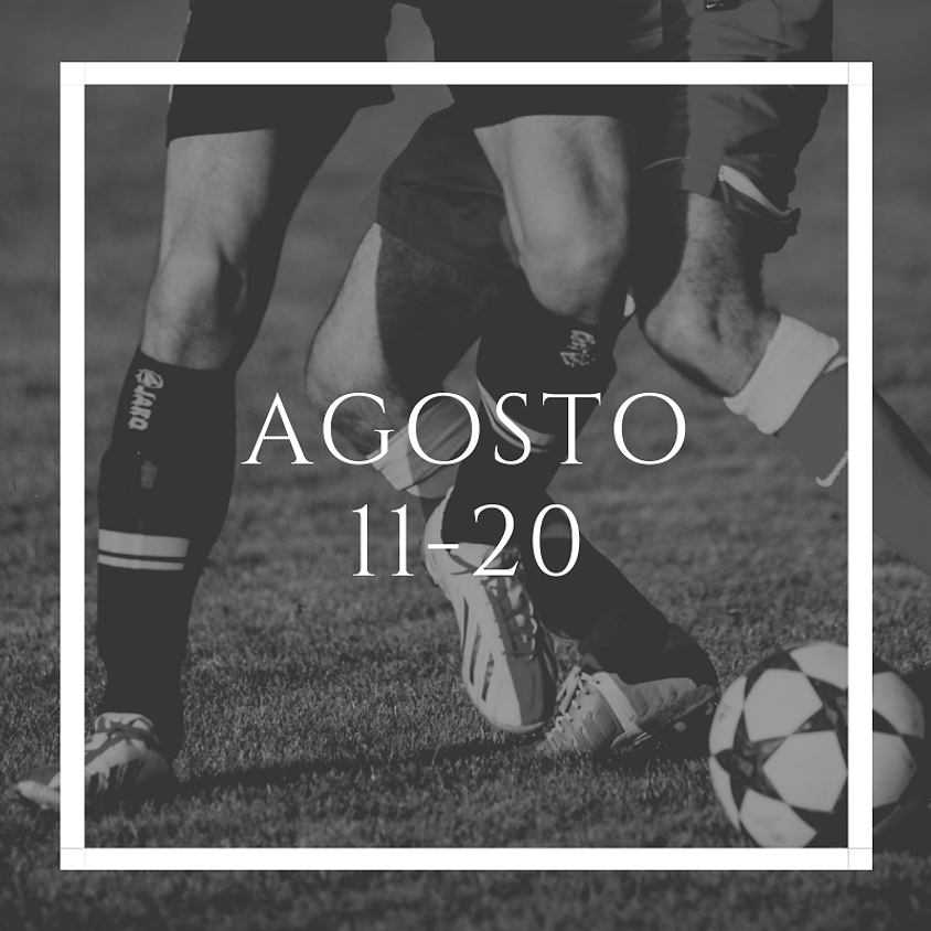 Curso de Perfeccionamiento 11- 20 Agosto
