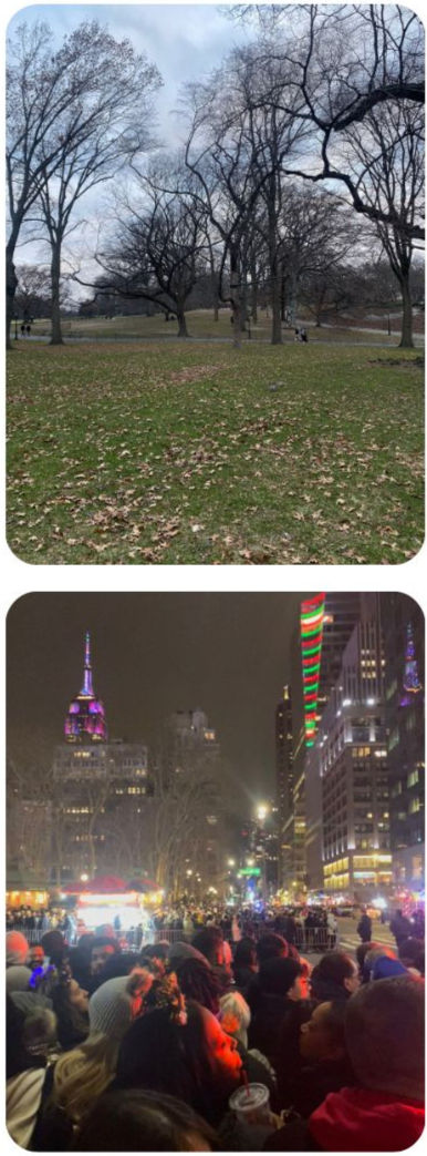 Central park et Times Square