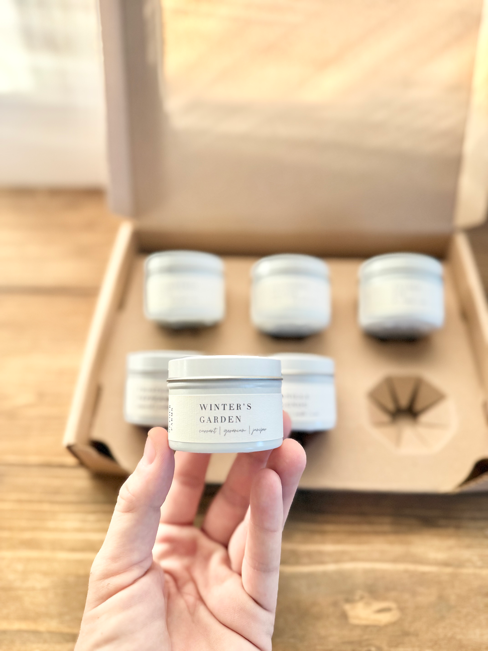 Winter Discovery Box