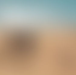 דו"ח שקיפות - קרן האמנות 2022