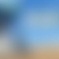 תוכנית כרטוס - העיר מידברן 2023