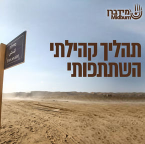 תהליך קהילתי השתתפותי - שיקוף ותנועה