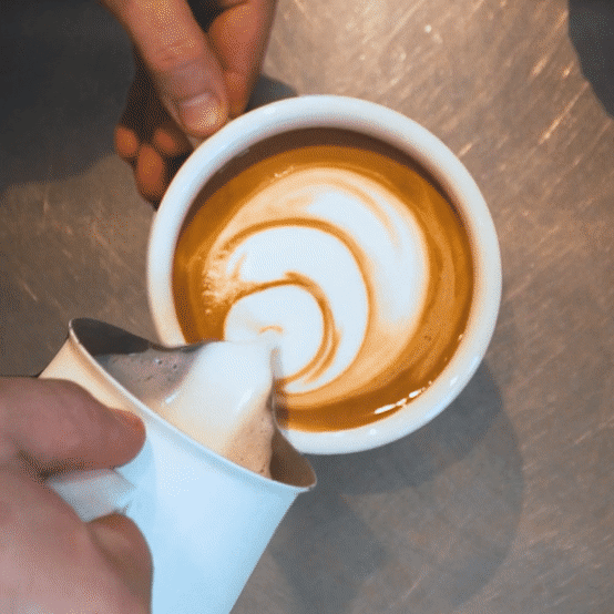 Latte Square-high.gif