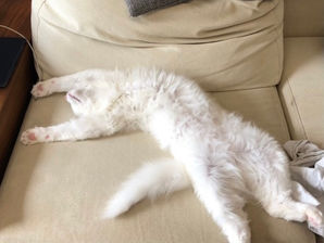 市ヶ谷から。1/太田陽貴