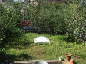 屋上緑化/田代 敦久