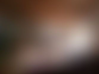 3月-木の家カフェ/家づくりギャラリーご案内