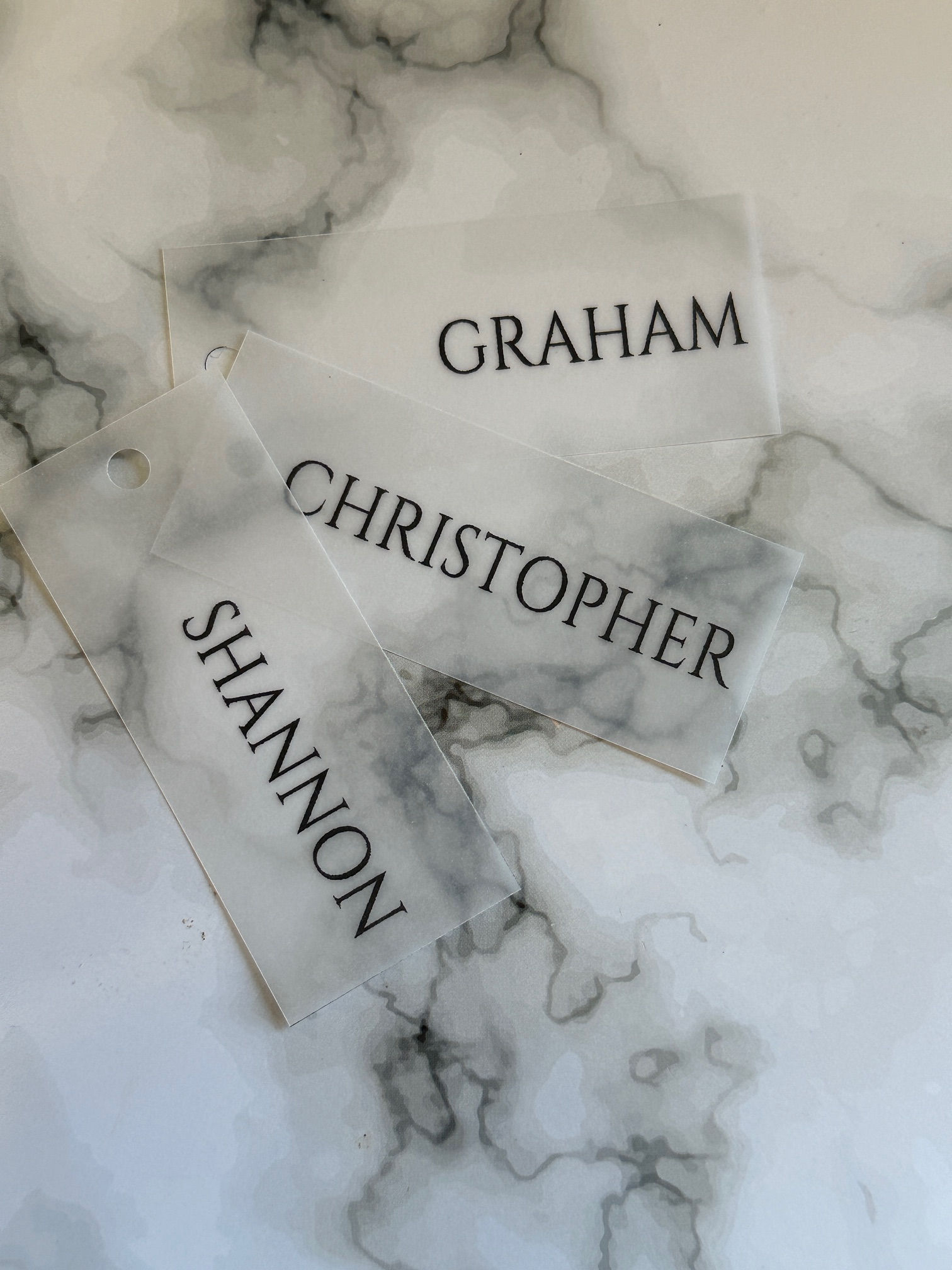 Vellum Name Tags / Place Cards