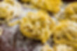 Photo macro de tagliatelle