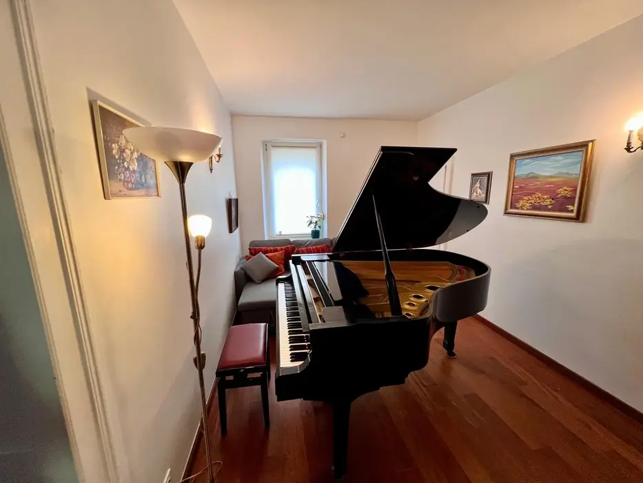 Piano à queue typique,