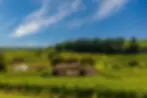 beautiful vineyard sunset travel around france bordeaux