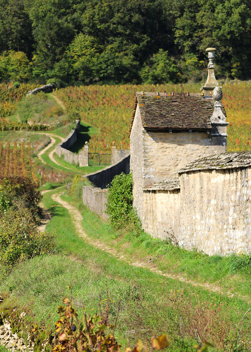 Historic stone cottages in a Burgundy village