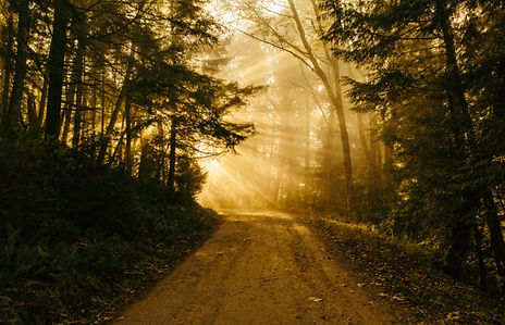 path-704x454 (1).jpe
