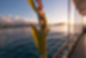 Sunrise over diamond head from a boat