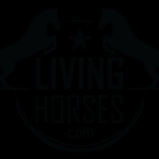 Writer: Living Horses
