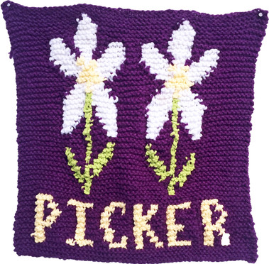 Daisy Picker