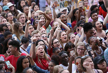 Image from Tampabay.com