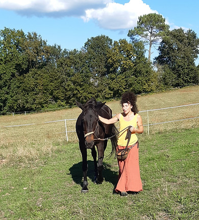 Une personne mène un cheval