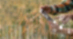 AdobeStock_540444975.jpeg