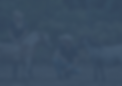 Team.png