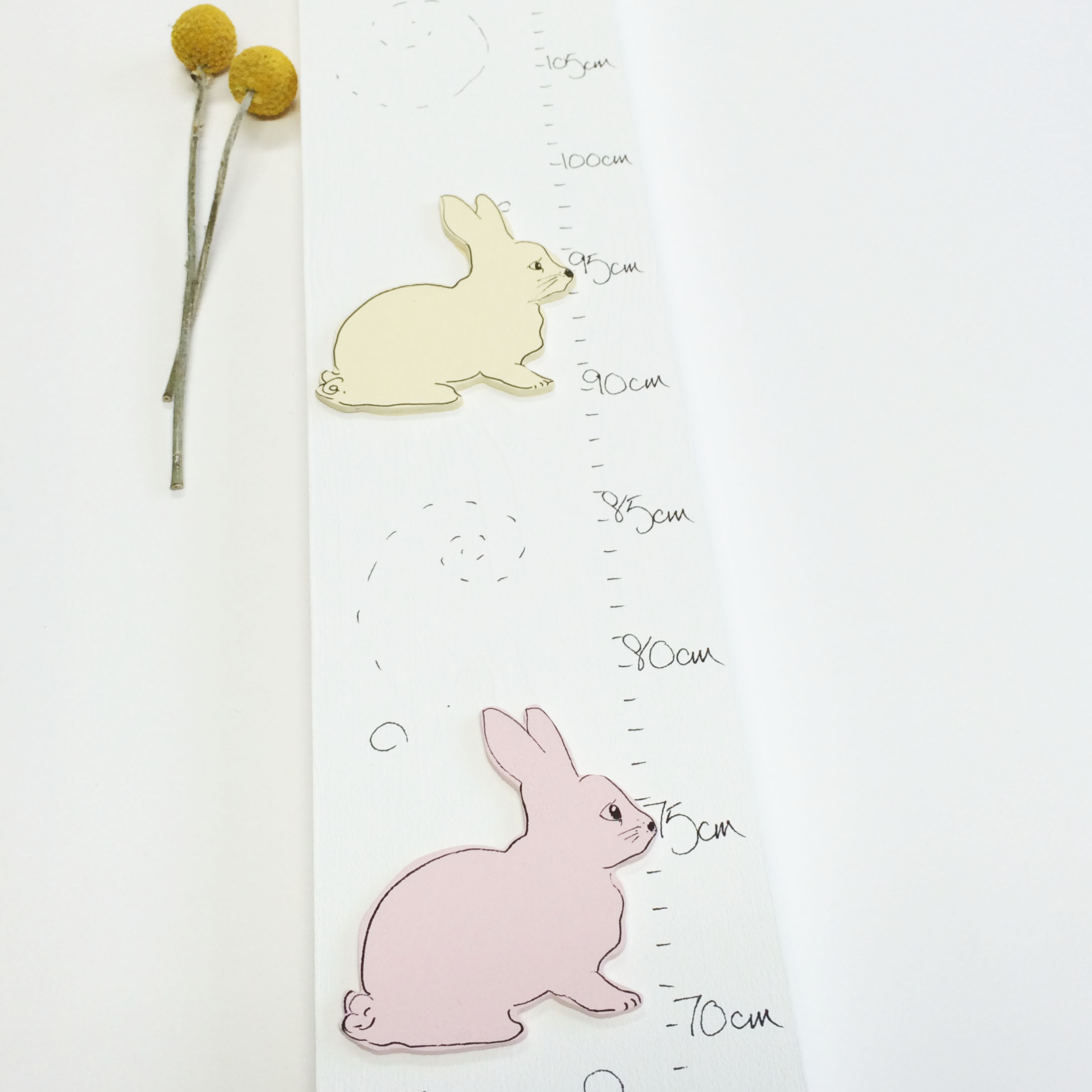 Bunny Height Chart For Babies