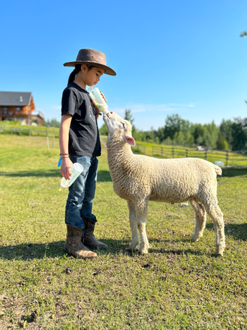 bottle lamb baby