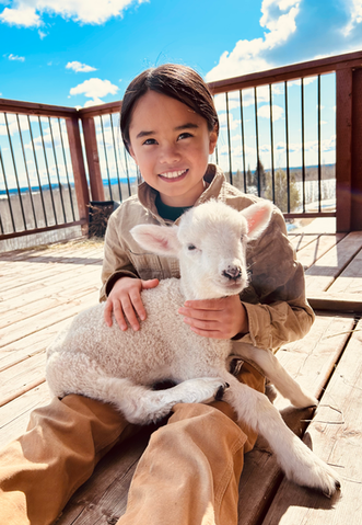 child and lamb