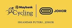 MCSJ-LOGO CMYK 2025.png