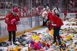 Lancer de Peluches 1