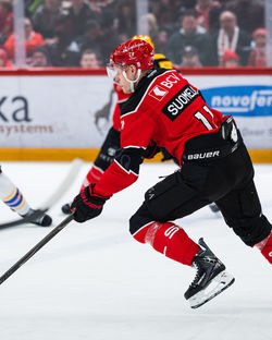 Les Playoffs - Antti Suomela