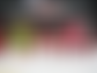 L’Avant-Match Lukko Rauma – Lausanne Hockey Club