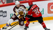 Qui de Genève-Servette ou du Lausanne HC a le mieux travaillé cet été ?