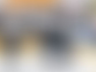 Le LHC bat Fribourg et valide son ticket pour les playoffs