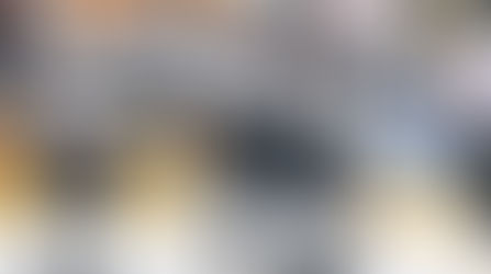 Le LHC bat Fribourg et valide son ticket pour les playoffs