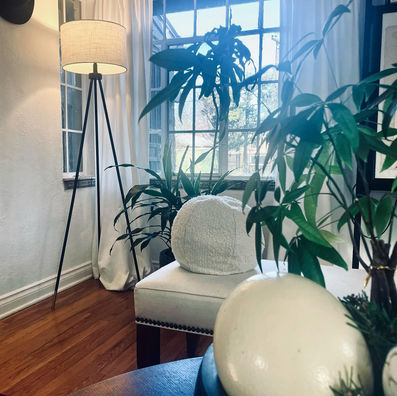 plants and interior design