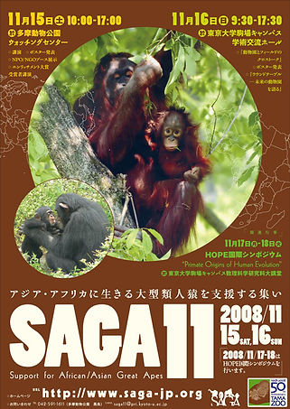 saga11.jpg