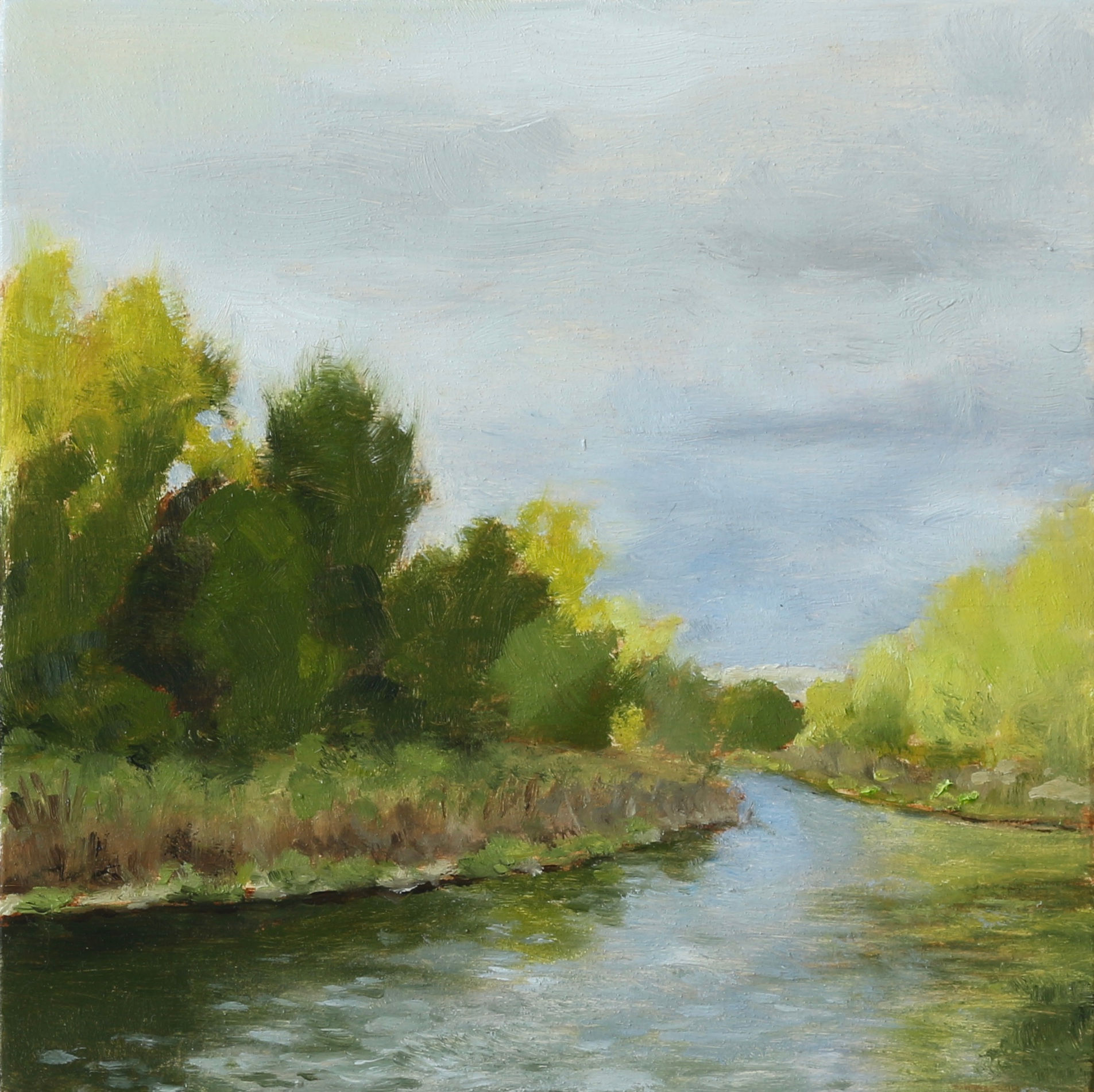 AFTERNOON RIVER LIGHT