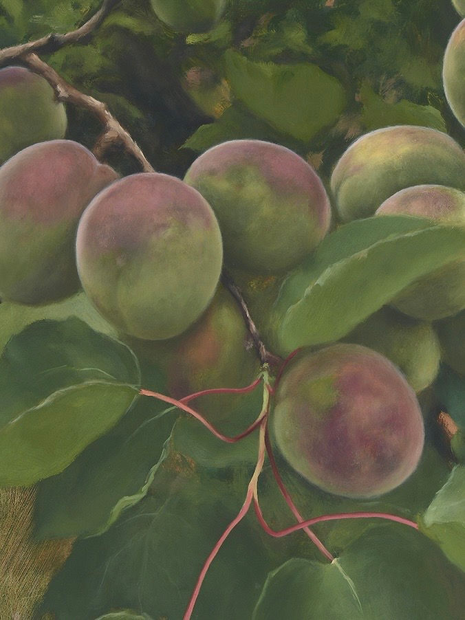 Thumbnail: Is There No Other Way?