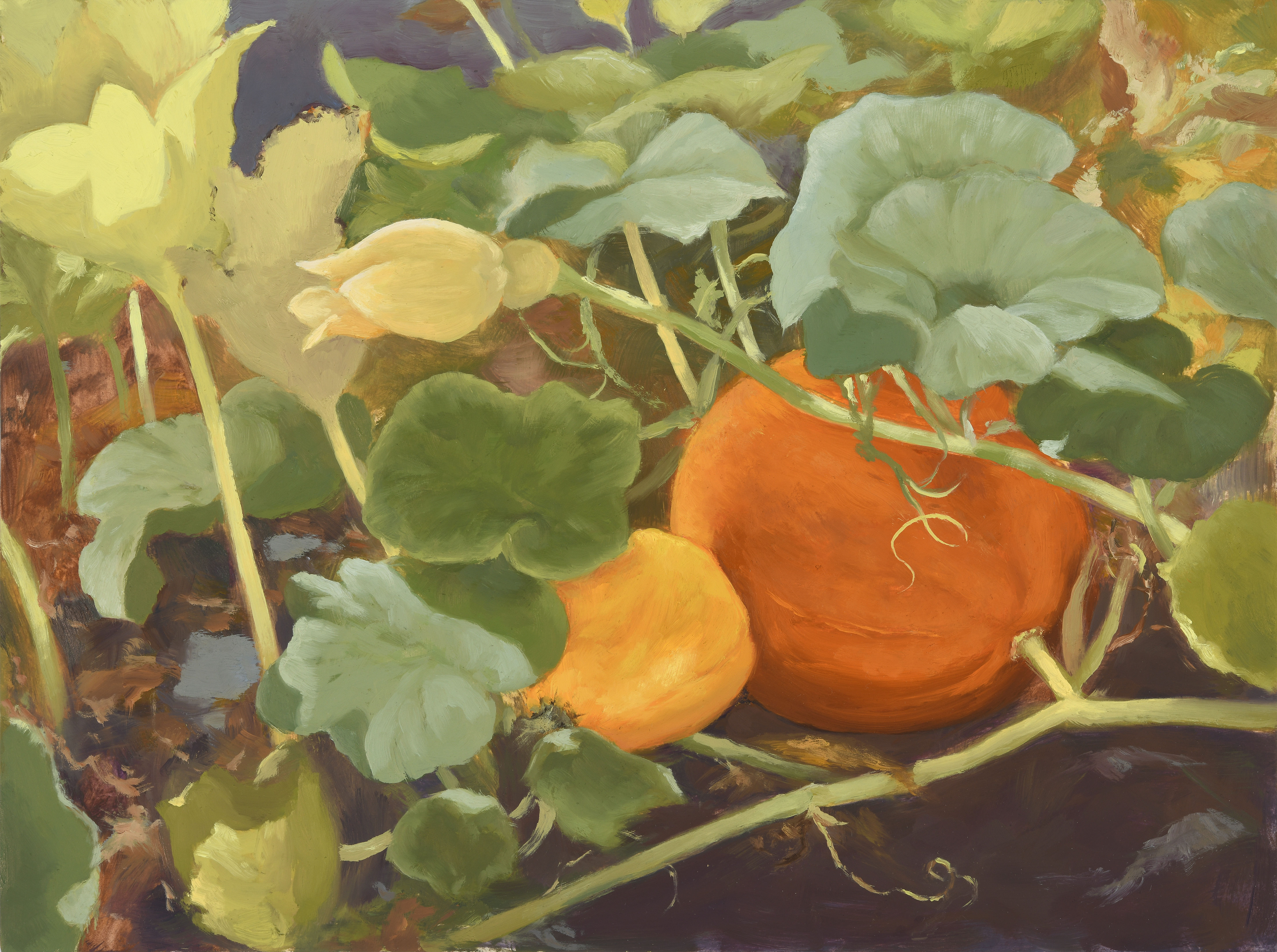 October Pumpkins
