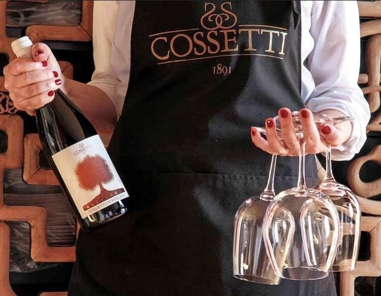 Miniatura: DOLCETTO D’ASTI GELSOMORA DOC 2019