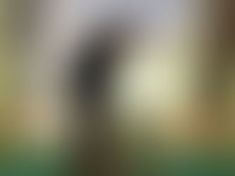 Resort World Sentosa Virtual Sport Game