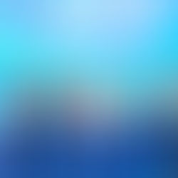 Karya Kreatif Benuanta 2025: Gerakan Besar UMKM & Budaya Lokal yang Menghidupkan Kalimantan Utara